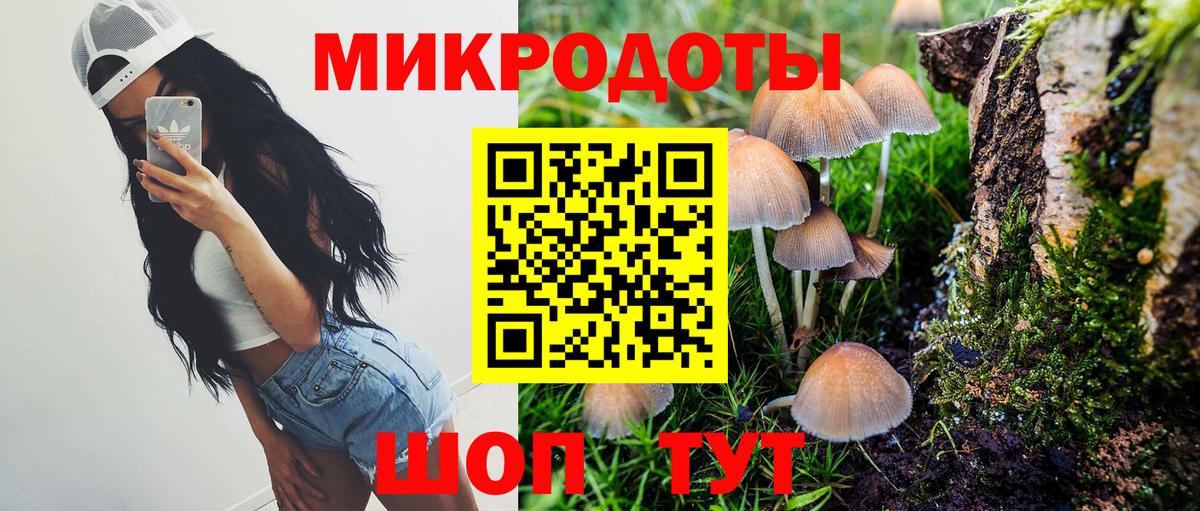 Галлюциногенные грибы Psilocybine cubensis Кемерово