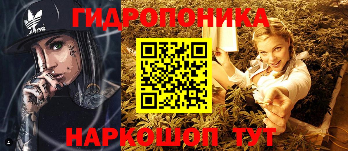 Шишки марихуана сатива  Вход с VPN  Кемерово  МАРИХУАНА OG Kush 
